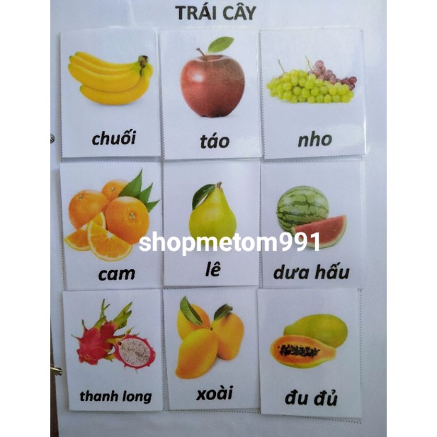 [SALE] HỌC LIỆU TỪ VỰNG ĐẦU TIÊN CHO BÉ