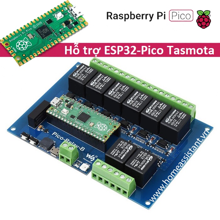 Bo Mạch Công Tắc 8 Cổng Cho Raspberry Pi Pico -Relay-B  ESP32 ESPHome Tasmota PLC