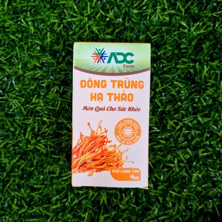 ĐÔNG TRÙNG HẠ THẢO