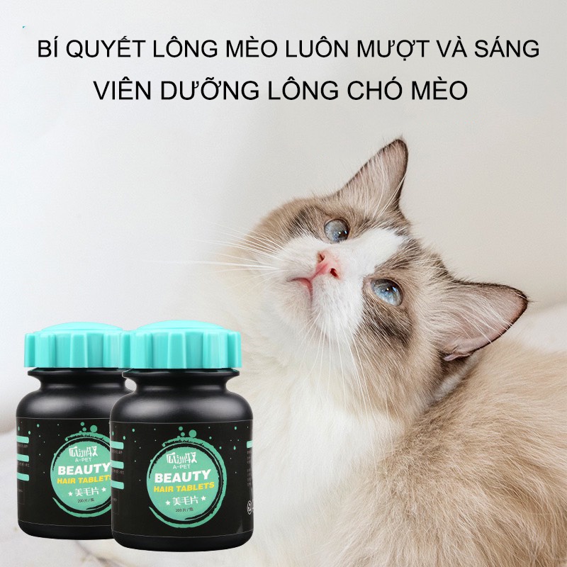 Dưỡng lông cho chó mèo giúp lông luôn mượt và sáng bóng