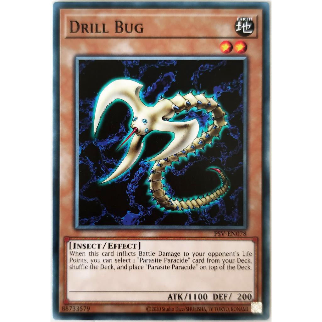 Drill Bug |EN| Common
