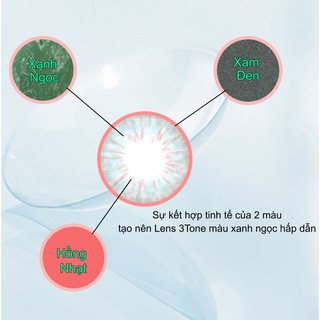 Kính áp tròng 24h UROPA: Sea Green (0 độ)