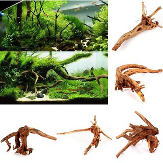 Lũa Nhỏ Trang Trí Bể Cá - Bể Thủy Sinh - Lũa Cành