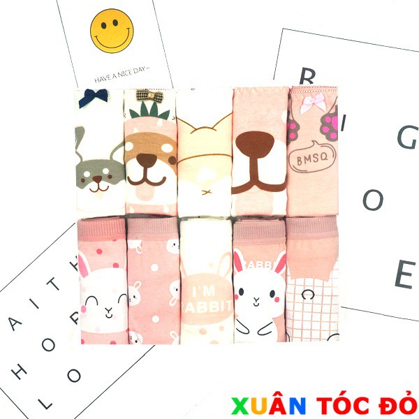SỈ ZALO RẺ HƠN NHIỀU_ Quần Lót 10 Kiểu Cún Thỏ Hồng Siêu Xinh 10006