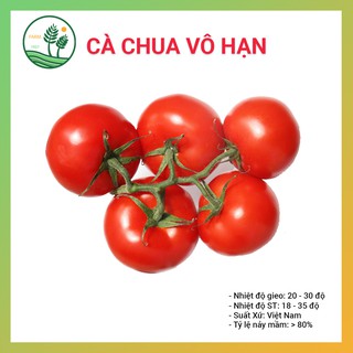 Hạt Giống Cà Chua Vô Hạn 0.5g