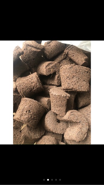 10 miếng mút ươm kei Hà Lan