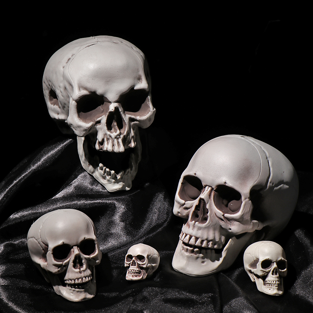 Đầu Lâu Trang Trí Halloween Nhiều Kích Cỡ Tuỳ Chọn