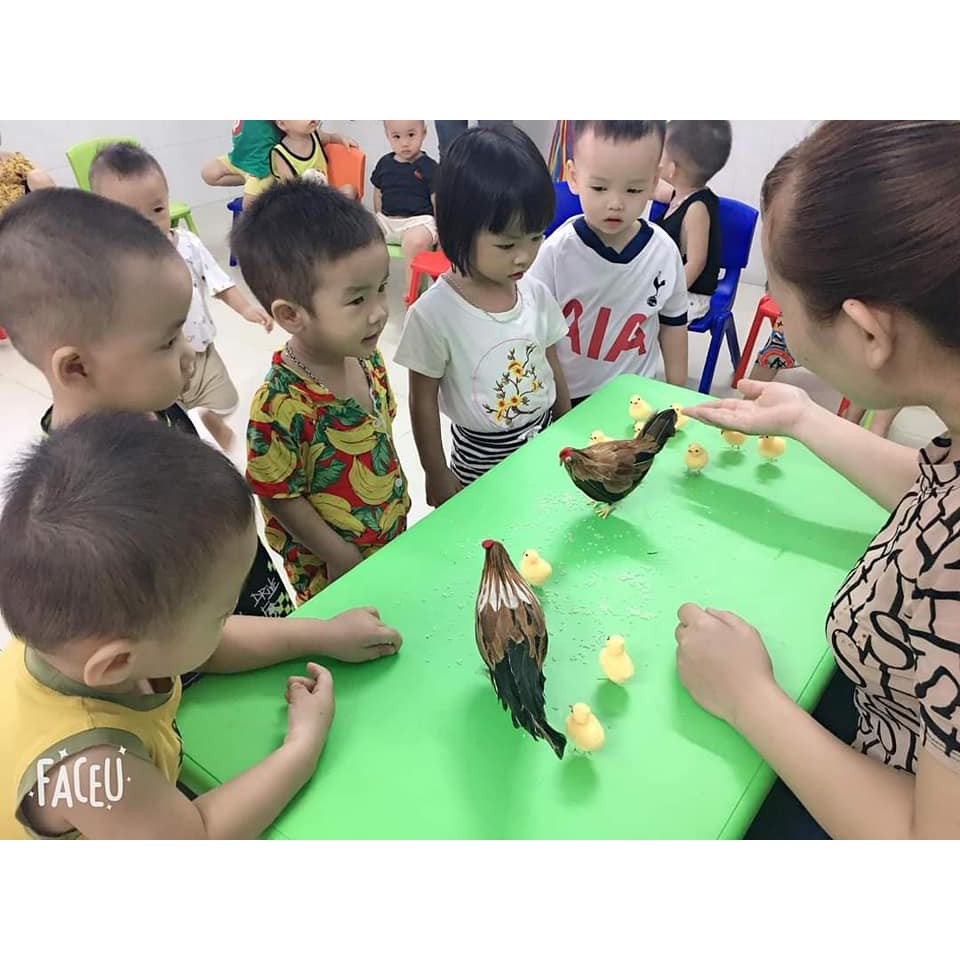 Mô Hình Đàn Gà Bố Mẹ và 10 Con Bằng Xốp Cho Các Bé Mầm Non