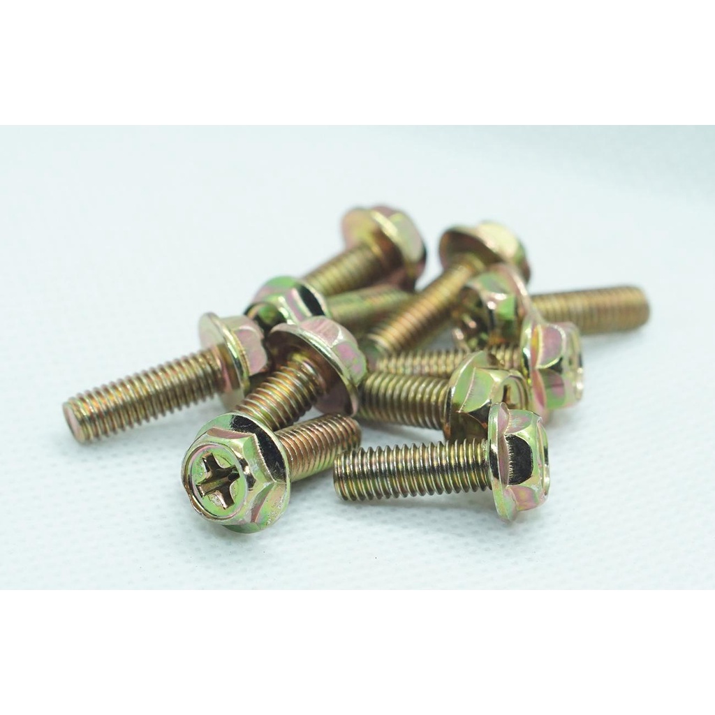 Bộ 10 bù lon xi vàng (m5x20 - BL8)