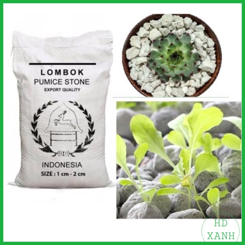 Đá bọt Pumice Indonesia 1kg