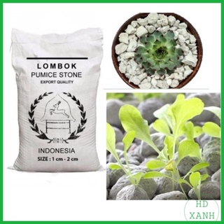 Đá bọt Pumice Indonesia 1kg