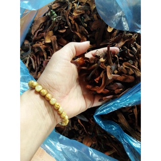 Cốt toái bổ khô