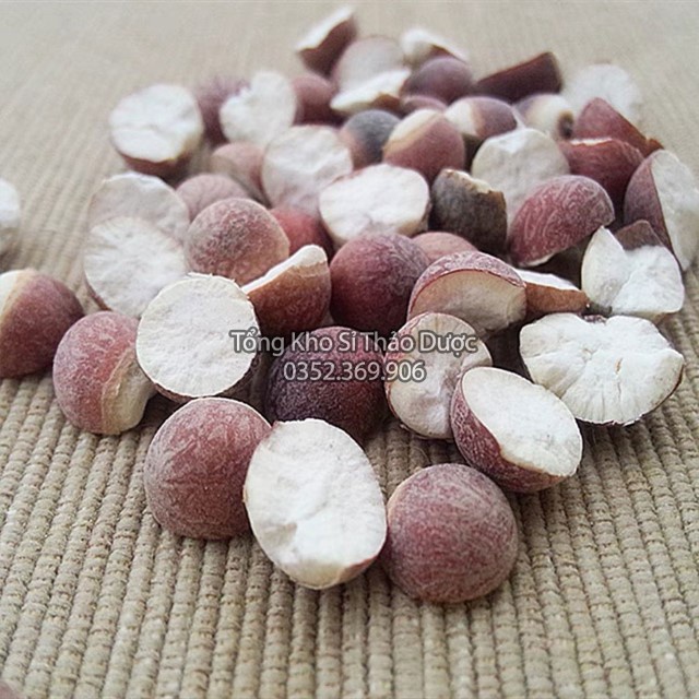 Khiếm Thực 500g (Khiếm Thực To, Sạch)