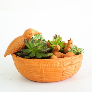 Ổ Rơm Đất Nung Trồng Cây
