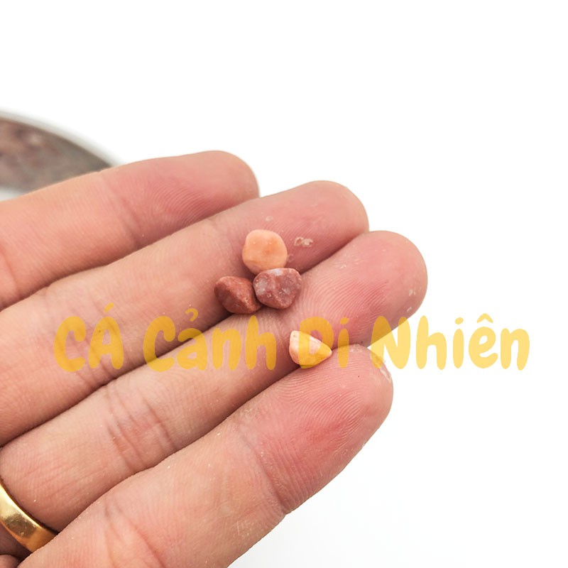 Bịch sỏi HỒNG 1 KG size 5 - 8 mm trang trí hồ cá cảnh