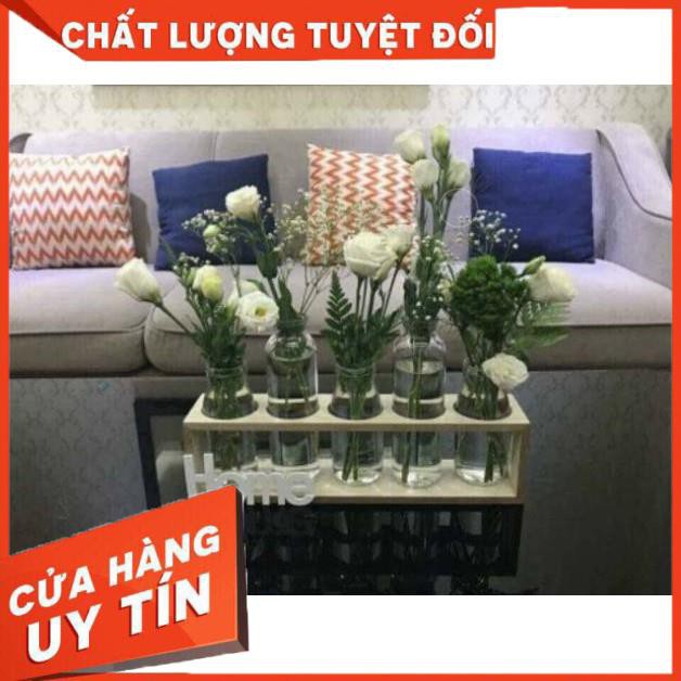 🍀Set 5 lọ thủy tinh cao thấp cắm hoa kèm kệ gỗ Home.