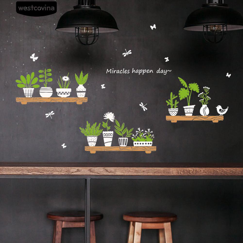 Giấy dán tường họa tiết cây bonsai xinh xắn