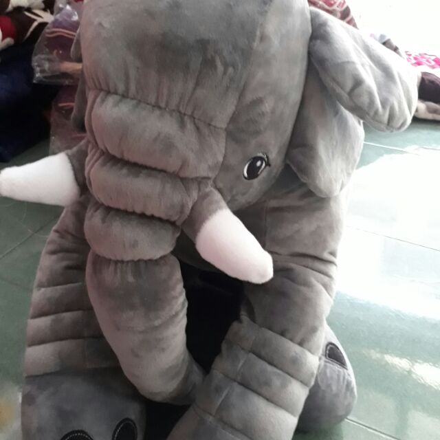 Gấu voi
