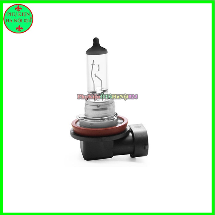 Bóng đèn Halogen Con Cú H8 12V 35W