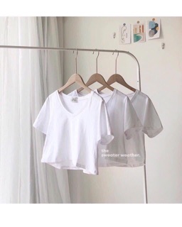 Áo Croptop Cổ Tim Cộc Tay