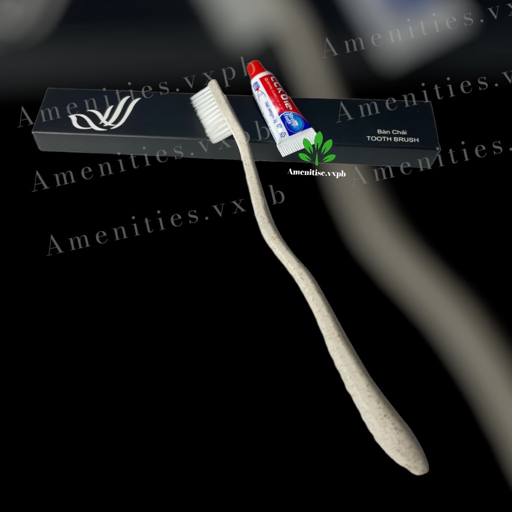 100 bàn chải lúa mạch cước trắng mẫu 02 bao bì hộp giấy(mẫu cánh chim) cho khách sạn, resort, homestay, villa