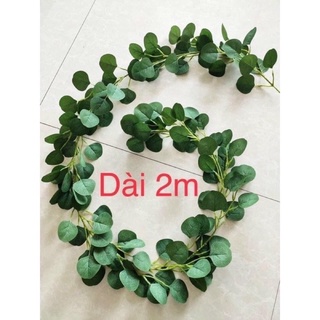 DÂY LÁ CÂY DECOR TRANG TRÍ SINH NHẬT, EVENT