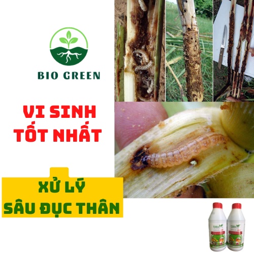 Phân bón hữu cơ vi sinh, chế phẩm sinh học bio,thuốc trừ sâu sinh học, trị nhện đỏ, rệp sáp