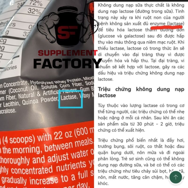 SỮA TĂNG CÂN MASS INFUSION - MASS TĂNG CÂN THOÁT GẦY NHANH CHÓNG
