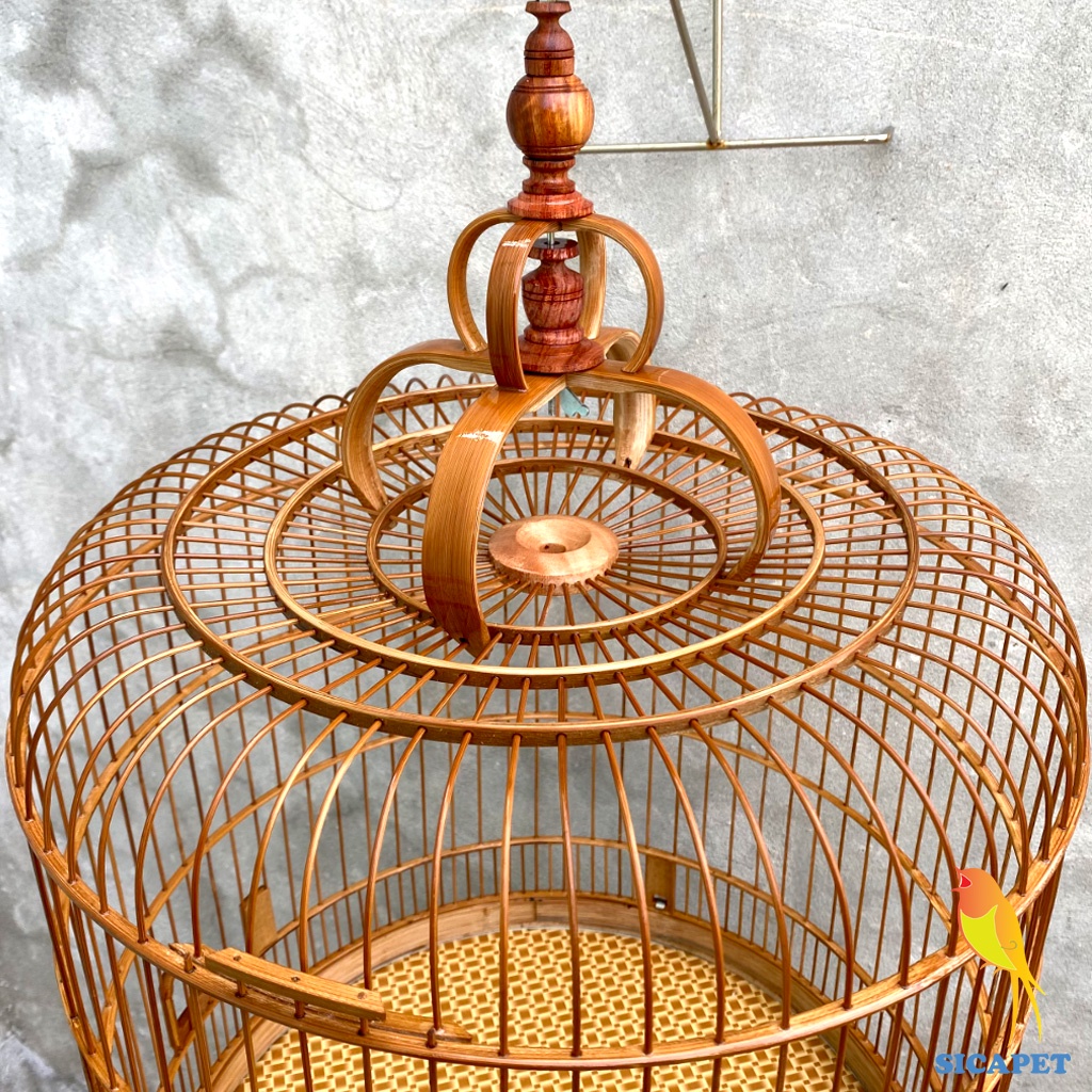 Lồng chim ChíCh Chòe - chim Chòe Than - chim Chào Mào - chim Chòe Lửa, Lồng Chòe Than - Chào Mào đẹp SICAPET