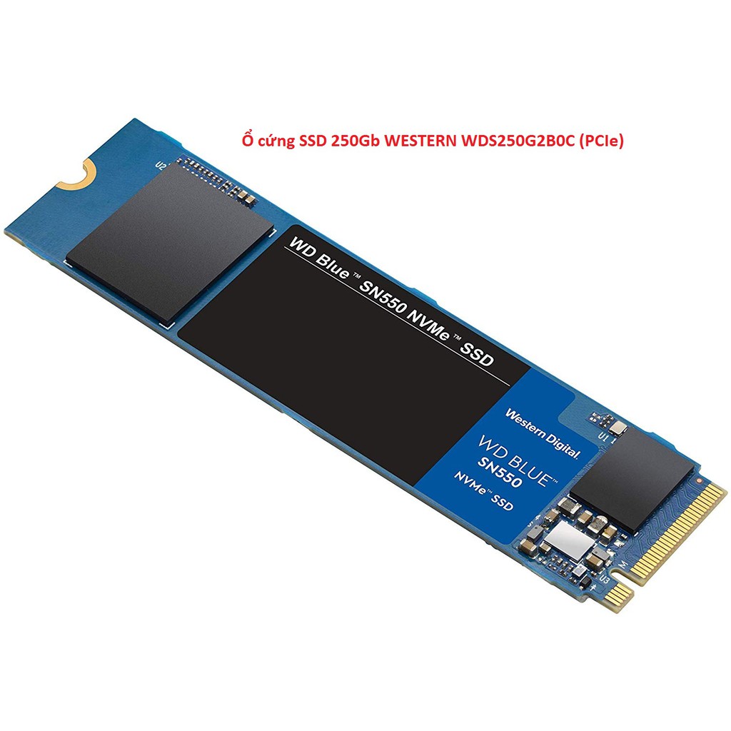 Ổ cứng SSD 250Gb WESTERN WDS250G2B0C (PCIe)