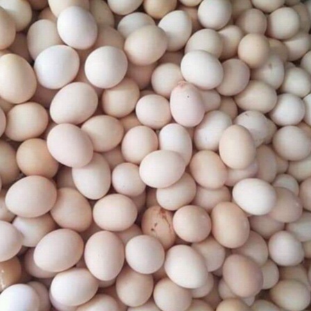 Trứng Gà Ta, Trứng Gà CN, Trứng Vịt Ngon Giá Rẻ Tân Phú 10 Trứng