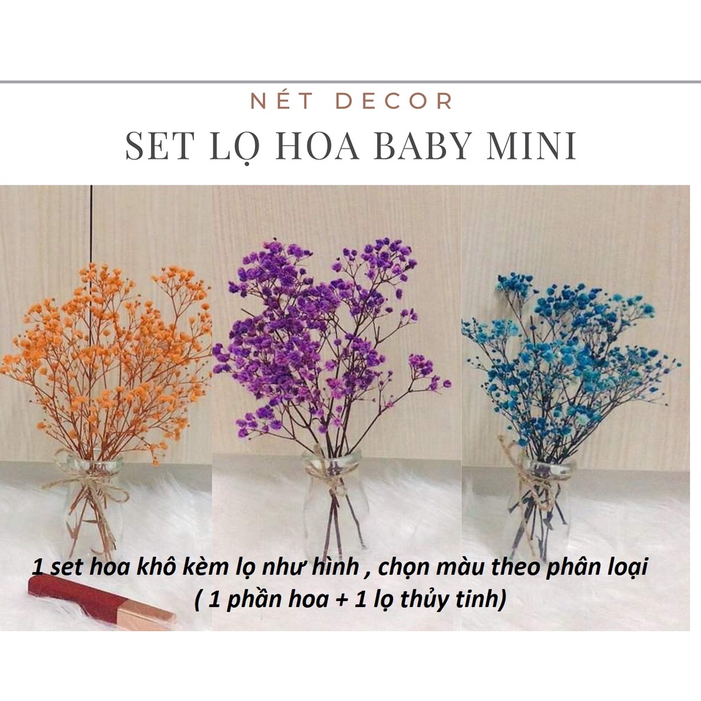 🍁 Set hoa baby khô nhiều màu 🍁 lọ hoa khô cắm sẵn trang trí phòng ngủ🍁