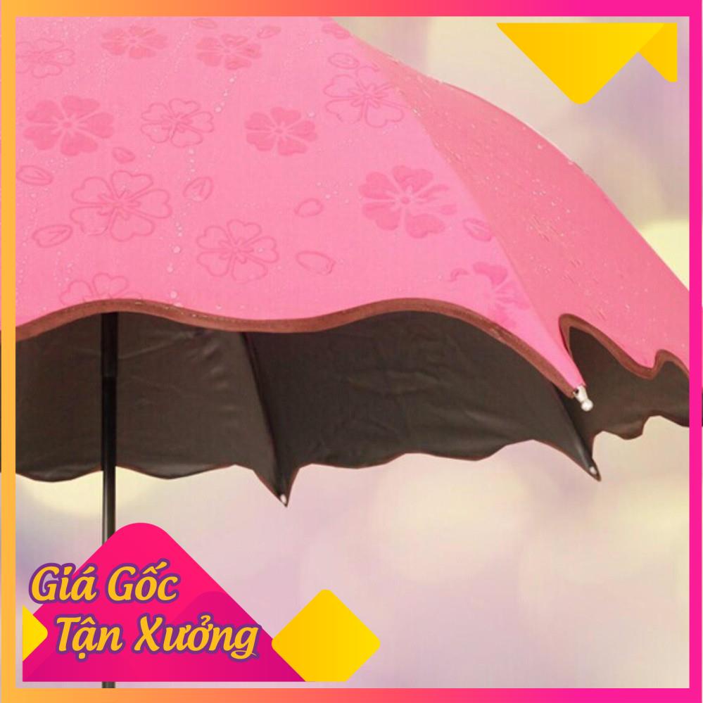 Ô dù ma thuật gặp nước nở hoa chống tia UV nhiều màu giao ngẫu nhiên