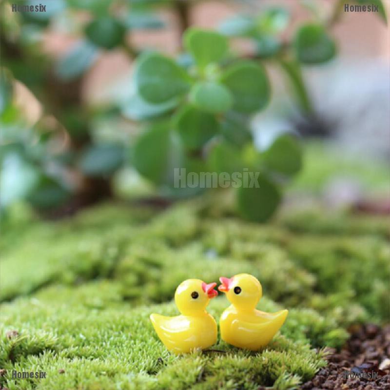 [HoMSI] 10pcs Miniature Resin Yellow Ducks Dollhouse Craft Fairy Garden Bonsai Decor SUU