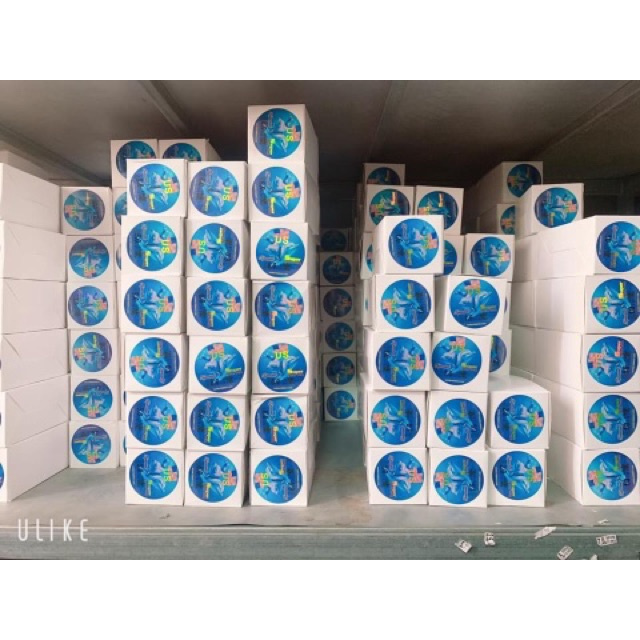 Cước cá heo 500m màu xám khói đồ câu cá hàng hót giá rẻ