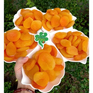 Mơ sấy lạnh hoàn toàn không thêm đường Đà Lạt 100gr, 300gr, 500gr