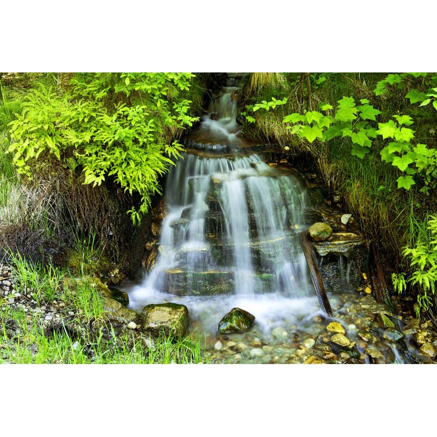 Tranh dán tường 3D cảnh thác nước hùng vỹ hòa với khung cảnh thiên nhiên xung quanh đẹp đến kinh ngạc