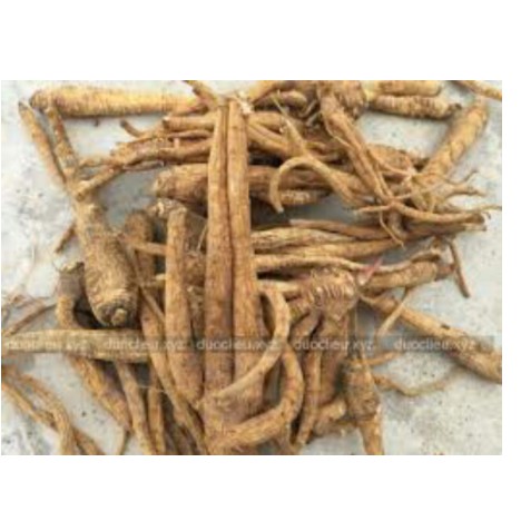 100gr Bạch chỉ sấy khô thái lát thơm ngon chuẩn xịn