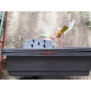 Khay Trồng Rau Thông Minh 65*42*16 cm (1 cái)