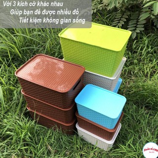 Combo 2 giỏ nhựa hàn quốc song long trang nhã hiện đại size trung 00809