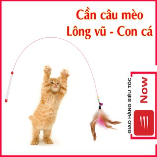 Cần câu mèo dây thép lông vũ có chuông, hình con cá đồ chơi bằng 