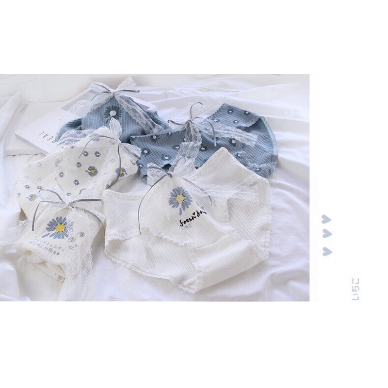 Set 10 Quần Lót Cotton Hoa Cúc