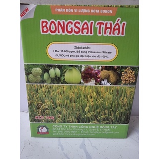 Phân bón chống đổ ngã, cứng cây cho lúa, nếp bongsai thái