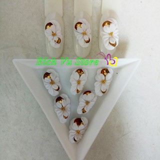 Hoa Bột nỗi 4D, Fantasy| 22K/cặp