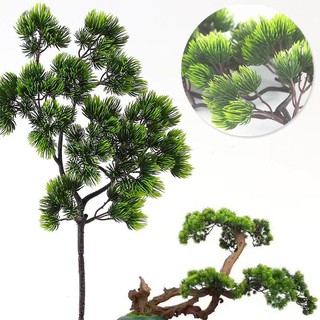 cành cây tùng nhựa