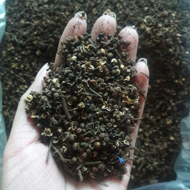 Hạt mắc khén Tây Bắc