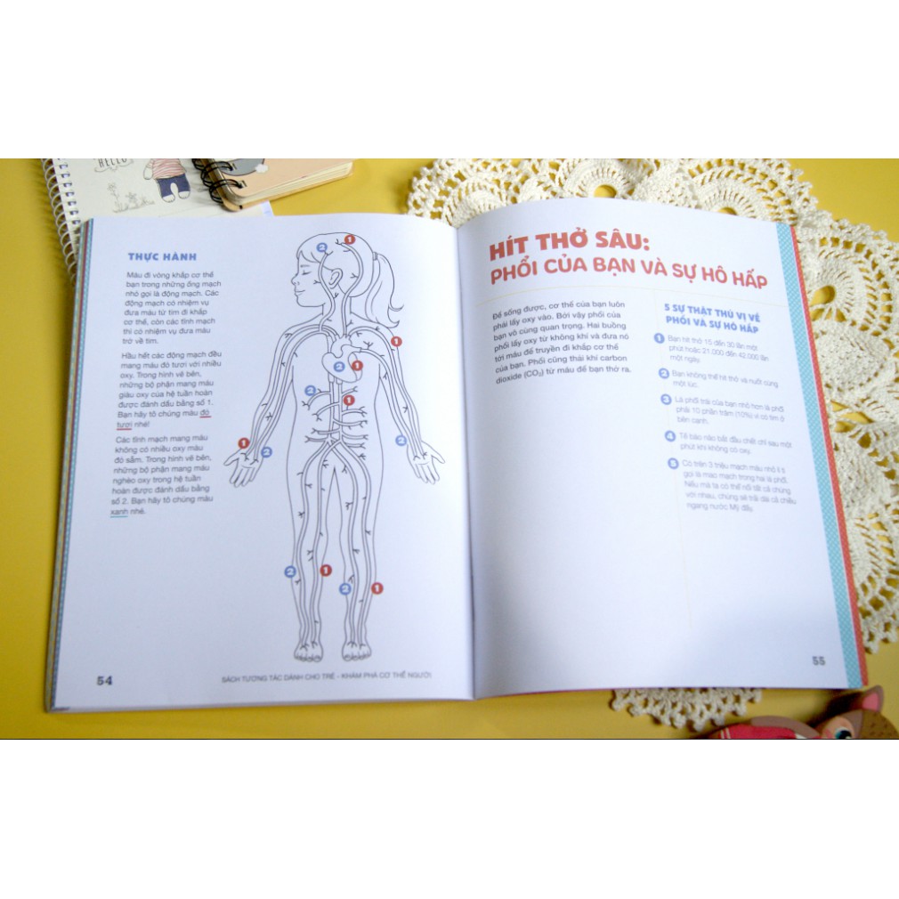 Sách - Khám Phá Cơ Thể Người - Sách tương tác dành cho trẻ 3+ - Nhiều tác giả