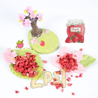Dâu sấy cho hamster 25g