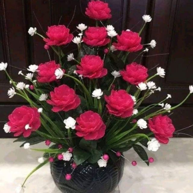 Conbo lan hồ điệp