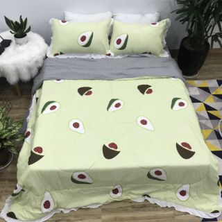 Bộ drap cotton đũi full mền